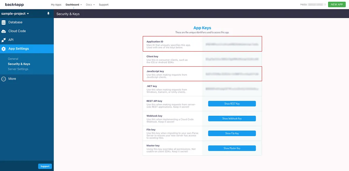 back4app-dashboard-keys